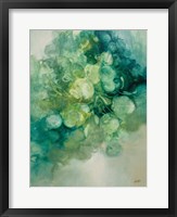 Emerald Pilea I Framed Print