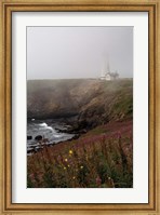Framed Coastal Fog IV
