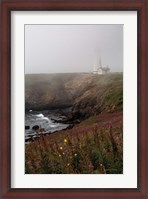 Framed Coastal Fog IV