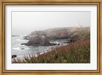 Framed Coastal Fog II