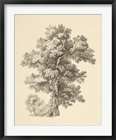 Framed Tree Study I Dark