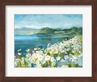 Framed Wild Daisy Bay