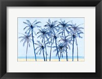 Framed Laguna Palms I