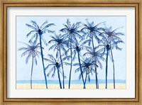 Framed Laguna Palms I