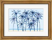 Framed Laguna Palms I