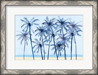 Framed Laguna Palms I