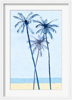 Framed Laguna Palms Triptych II