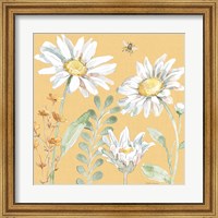 Framed Daisy Days VIII