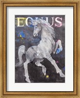 Framed Equus Stallion