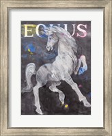 Framed Equus Stallion