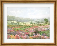 Framed Field of Flowers