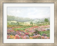 Framed Field of Flowers