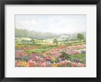 Framed Field of Flowers