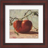 Framed Red Tomato