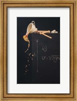 Framed Study With Free Fall