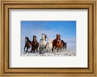 Framed Mongolia Horses
