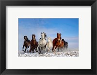 Framed Mongolia Horses