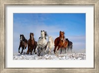 Framed Mongolia Horses
