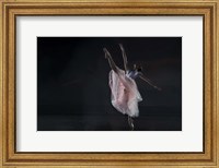 Framed Dancer