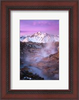 Framed Pink Eastern Sierra