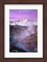 Framed Pink Eastern Sierra