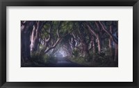 Framed Dark Hedges