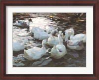 Framed Ducks by the Lake 3