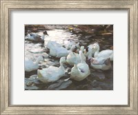 Framed Ducks by the Lake 3