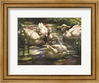 Framed Ducks by the Lake 4