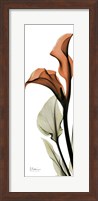 Framed Terracotta Calla Lily