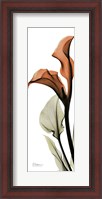 Framed Terracotta Calla Lily