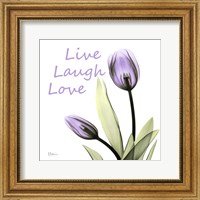 Framed Live Laugh Love