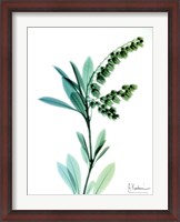 Framed Lily of The Valley
