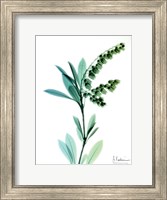 Framed Lily of The Valley