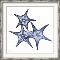 Framed Blue Three Starfish