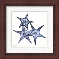 Framed Blue Three Starfish