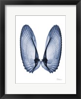 Framed Angel Wings