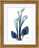 Framed Midnight Calla Lily 1