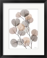 Framed Earthy Eucalyptus Bunch