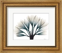 Framed Lily Of The Jungle