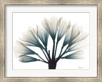 Framed Lily Of The Jungle