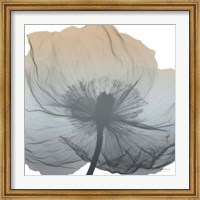 Framed Poppy Earthy Beauty