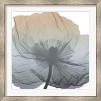Framed Poppy Earthy Beauty