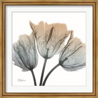Framed Earthy Tulips