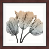 Framed Earthy Tulips