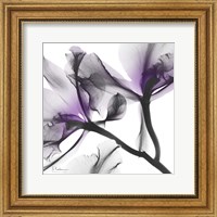 Framed Lavender Luster 1