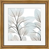 Framed Sandy Blooms 1