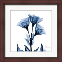 Framed Indigo Gentian