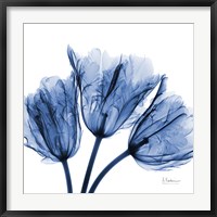 Framed Indigo Stunning Tulips