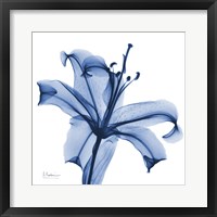 Framed Glorious Indigo Lily